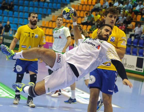 Instructor y Monitor Deportivo nivel profesional en Balonmano